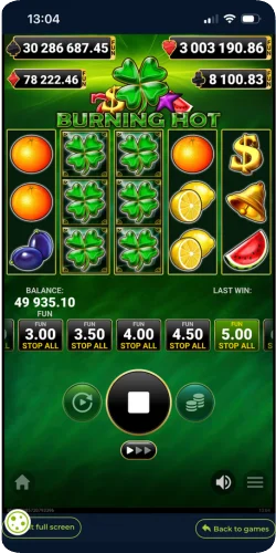 Burning Hot Play Game