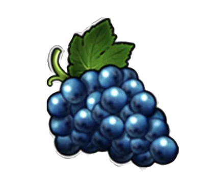 Grapes mid pay symbol Burning Hot slot