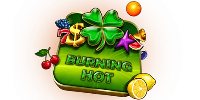 Burning Hot Logo